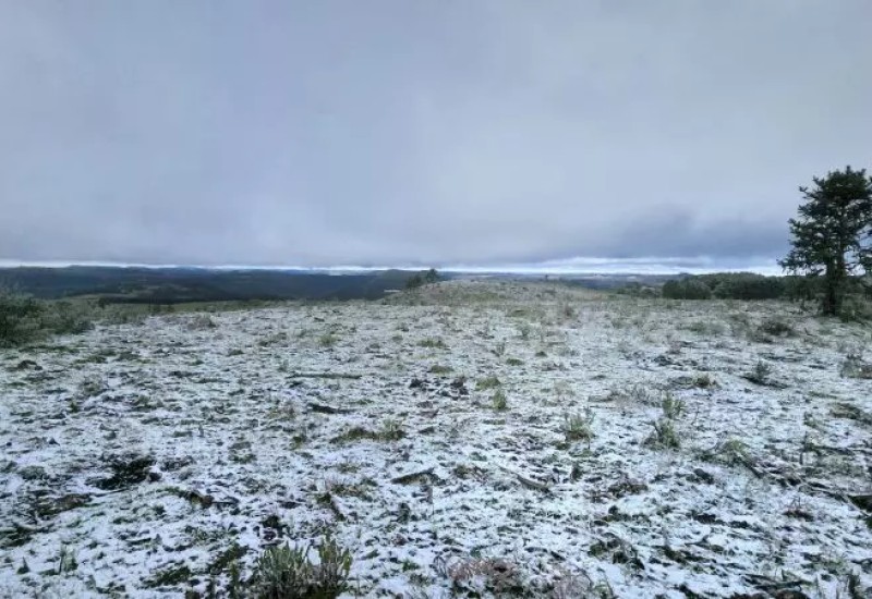 Foto: Mycchel Legnaghi/@saojoaquimonline/ND