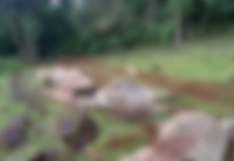 Foto: Prefeitura de Planalto Alegre/Divulgação