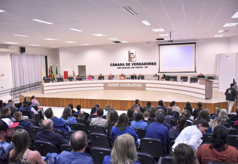 Foto: Tiarajú Goldschmidt/Câmara de Vereadores