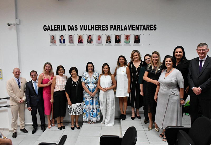 Foto: Tiarajú Goldschmidt/Câmara de Vereadores