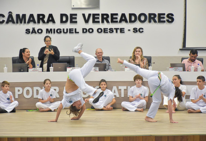 Foto: Tiarajú Goldschmidt/Câmara de Vereadores