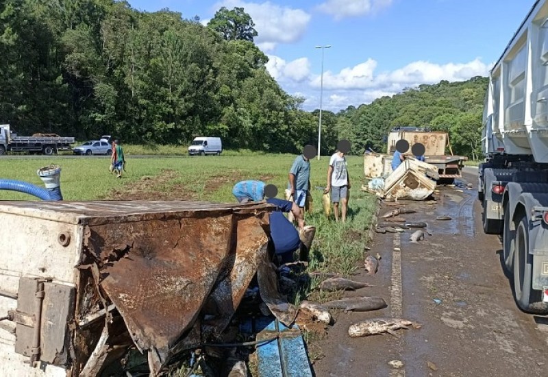 Divulgação/Bombeiros Voluntários