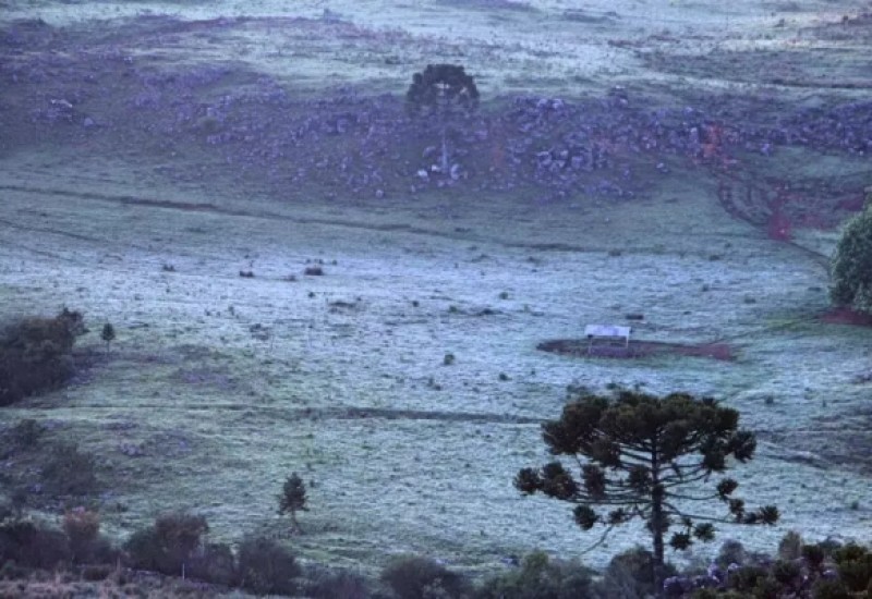 Foto: Mycchel Legnaghi/São Joaquim Online