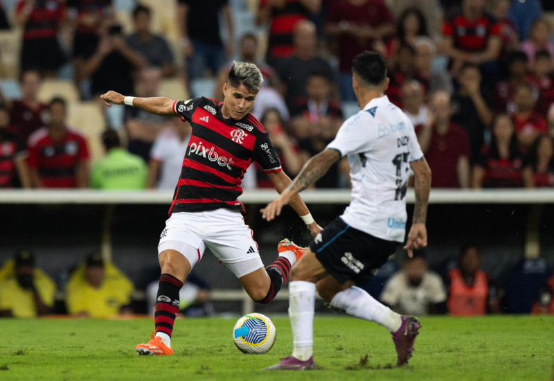 Luiz Araújo anotou os dois gols da vitória rubro-negra (Foto: Marcelo Cortes/CRF)