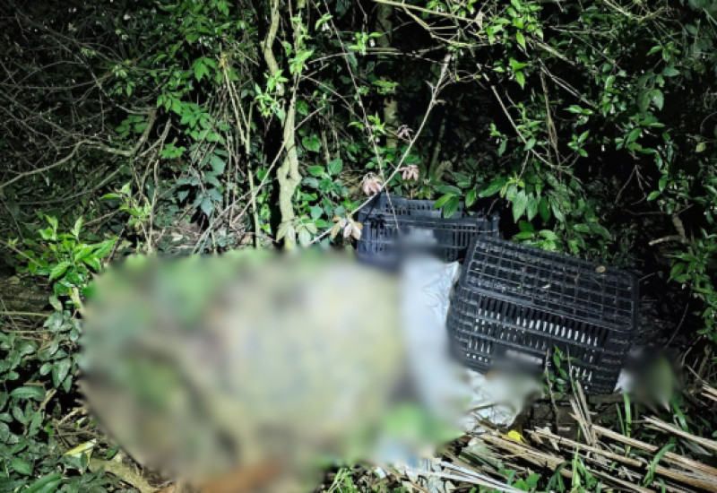 Foto: Polícia Civil