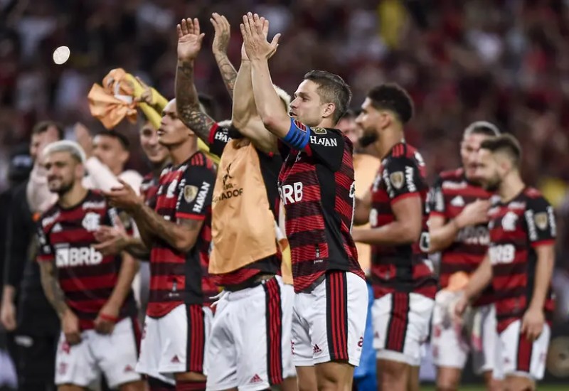Flamengo conquistou sua vaga na decisão com duas vitórias (Foto: Marcelo Cortes/Flamengo)