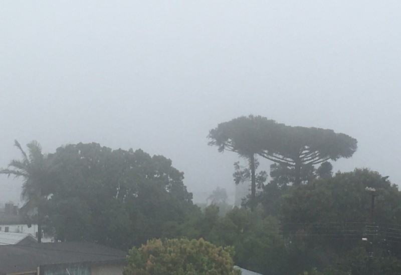 Foto: Stenio Wathier/JRTV