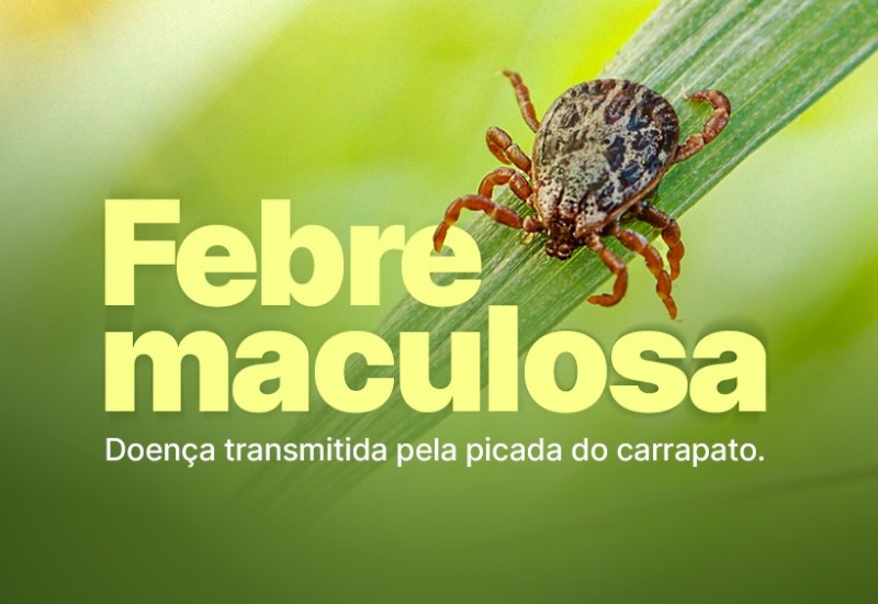 A febre maculosa é uma doença transmitida pela picada do carrapato infectado com a bactéria do gênero Rickettsia | Divulgação