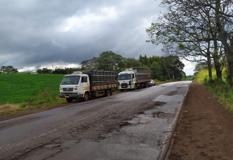 Foto: Polícia Militar Rodoviária/Divulgação/JRTV