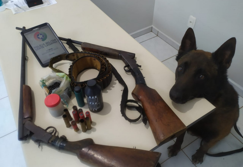 Foto: PM/Divulgação/JRTV