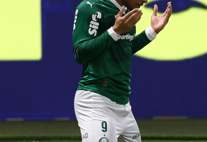 Foto: Palmeiras/Divulgação