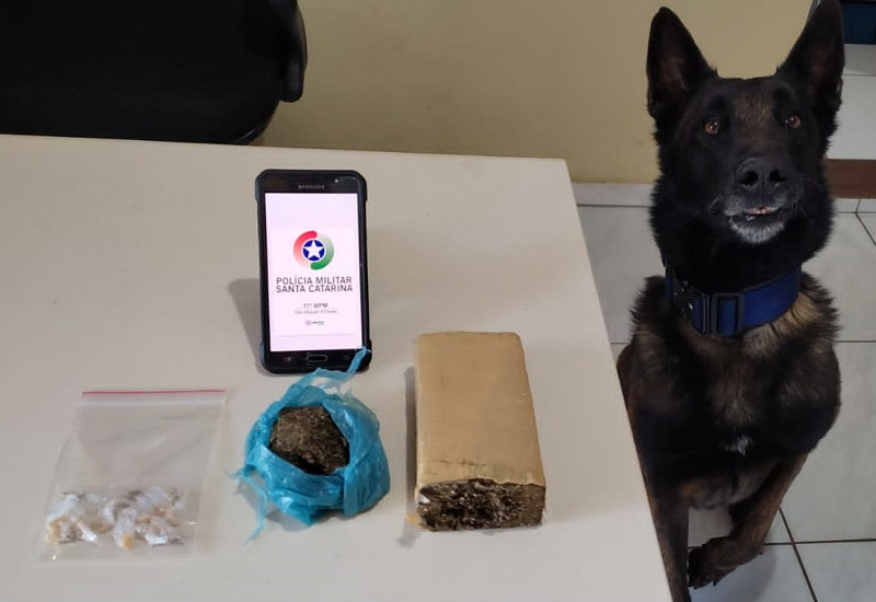 Foto: PM/Divulgação/JRTV