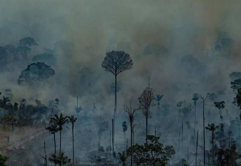 Vista aérea da APA do Jamanxim, em Novo Progresso, no Sul do Pará: fogo atingiu unidades de conservação Foto: Victor Moriyama / Greenpeace