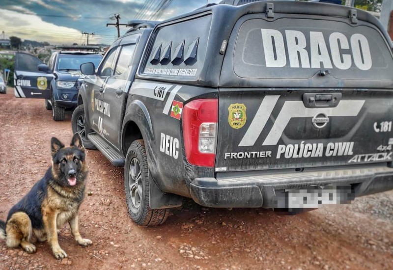 Fotos: Polícia Civil/ Divulgação/JRTV