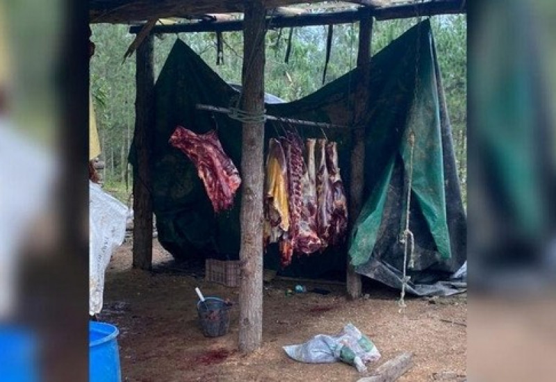 Foto: Polícia Militar/Divulgação