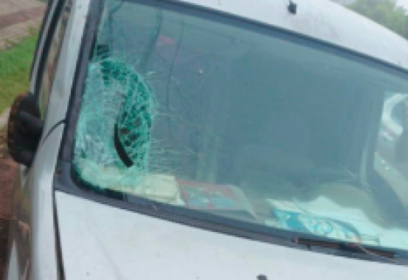 Foto: Delegacia de Polícia de Pinhalzinho/Divulgação