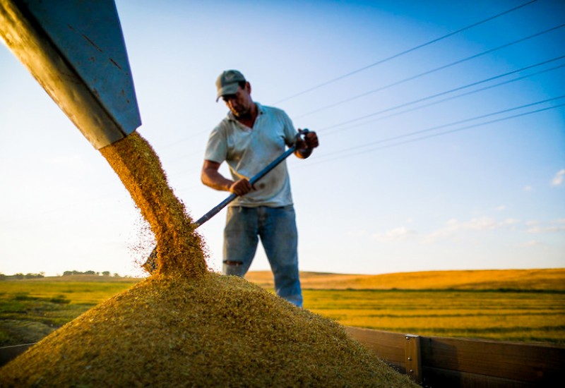 Alunos receberão informações diretas e atualizadas das principais entidades representativas do agro no País.