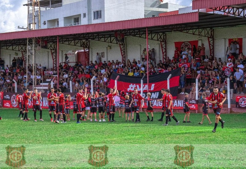 A torcida tem marcado forte presença nos jogos do Guarani (Foto: Guarani/Divulgação)