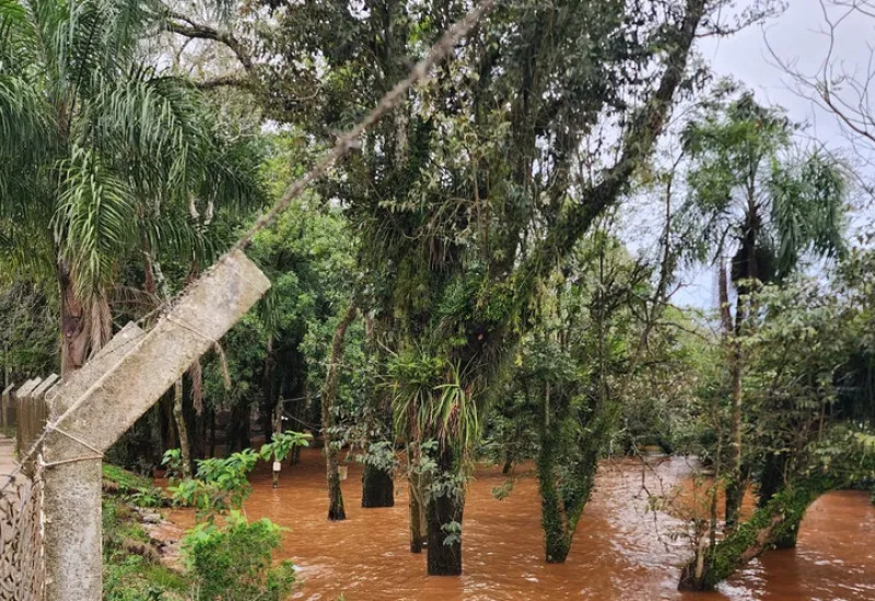 Foto: Ricardo Nascimento/Rede Peperi