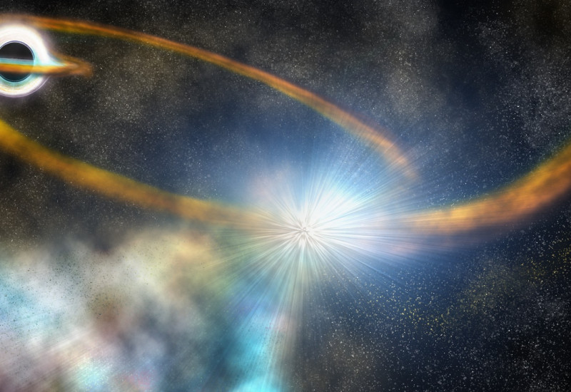 Ilustração mostra o momento em que o buraco negro "captura" a estrela, modelo é feito a partir de dados captados por satélites e são transformados em desenho – Ilustração: Robin Dienel/Carnegie Institution for Science