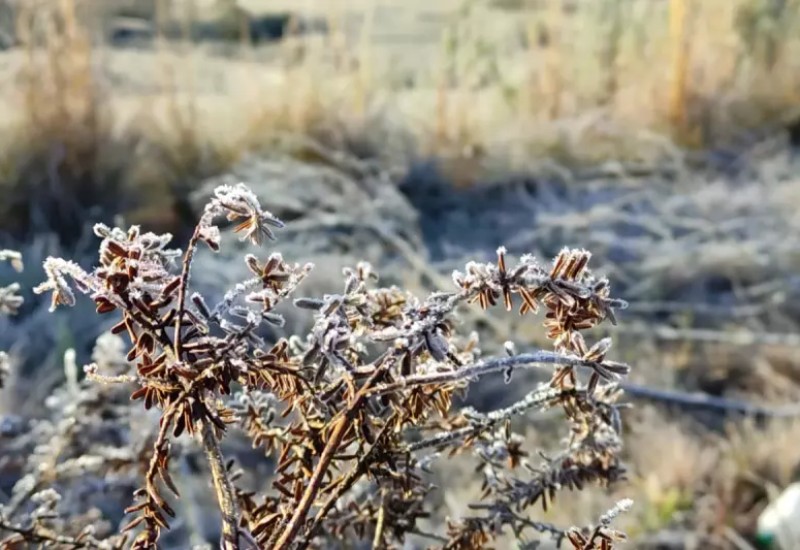 Foto: Wagner Urbano/Divulgação/ND