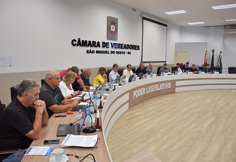 Foto: Tiarajú Goldschmidt/Câmara de Vereadores