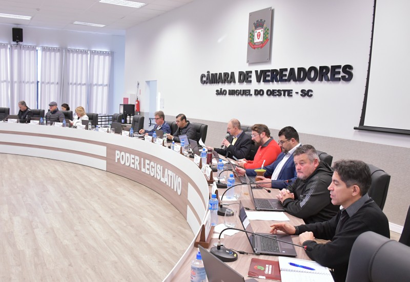 Foto: Tiarajú Goldschmidt/Câmara de Vereadores