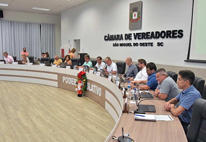 Foto: Tiarajú Goldschmidt/Câmara de Vereadores