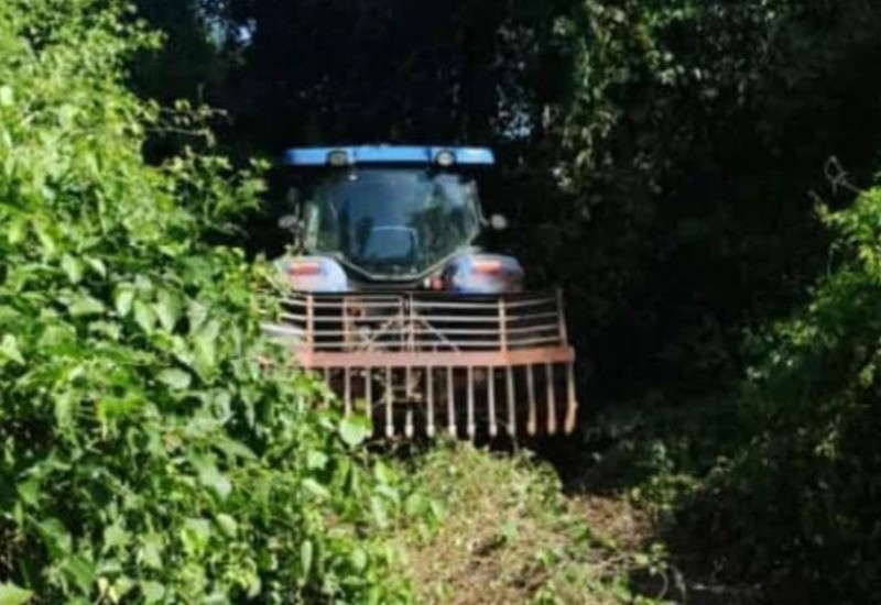 Foto: PM/Divulgação/JRTV