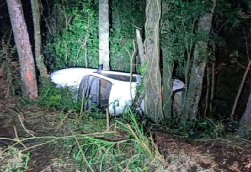 Carro saiu de pista, bateu em árvore e capotou (Foto: PMRv, Divulgação)