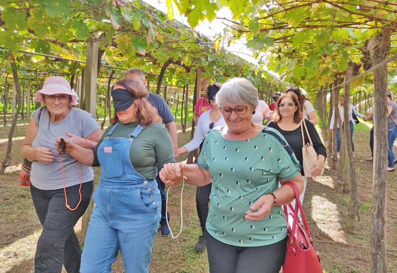 Alunos da Uniti de São Miguel do Oeste durante passeio à vinícola | Foto: Ascom Unoesc
