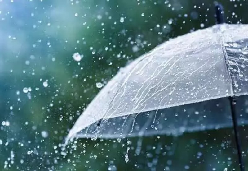 Foto: Secom/Prefeitura de Joinville