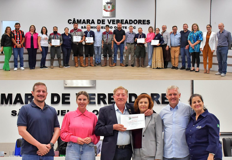 Foto: Tiarajú Goldschmidt/Câmara