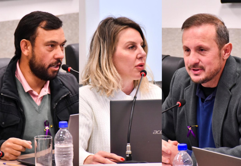 Foto:Tiarajú Goldschmidt/Câmara de Vereadores